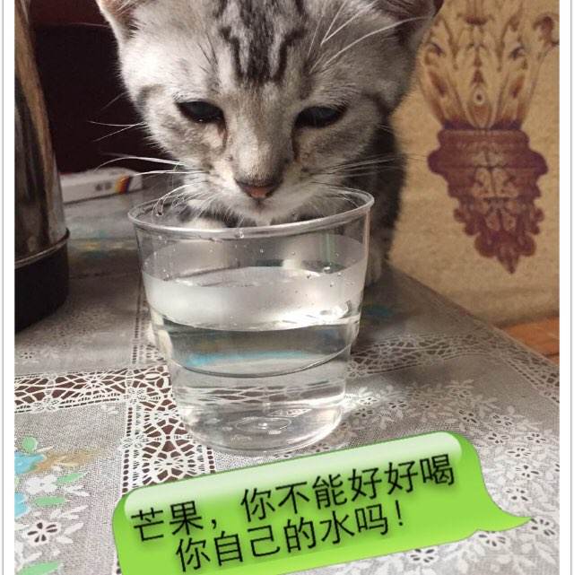 高中拿毕业证的要求